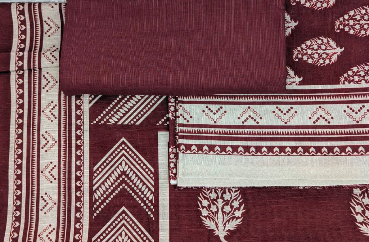 Collection Zara – V-2036 | Digital Khaddar 3PC - Image 2